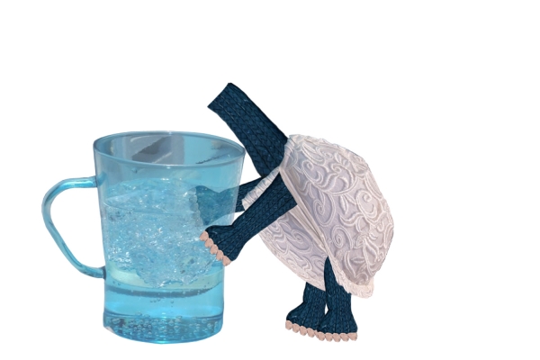 Creation of thirsty braturtle: Step 8
